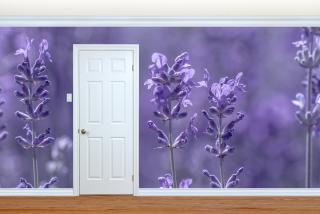 Flower Lavender